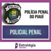 Rateio PP PI (PÓS-EDITAL) 2024 - Policial Penal - ESTRATÉGIA