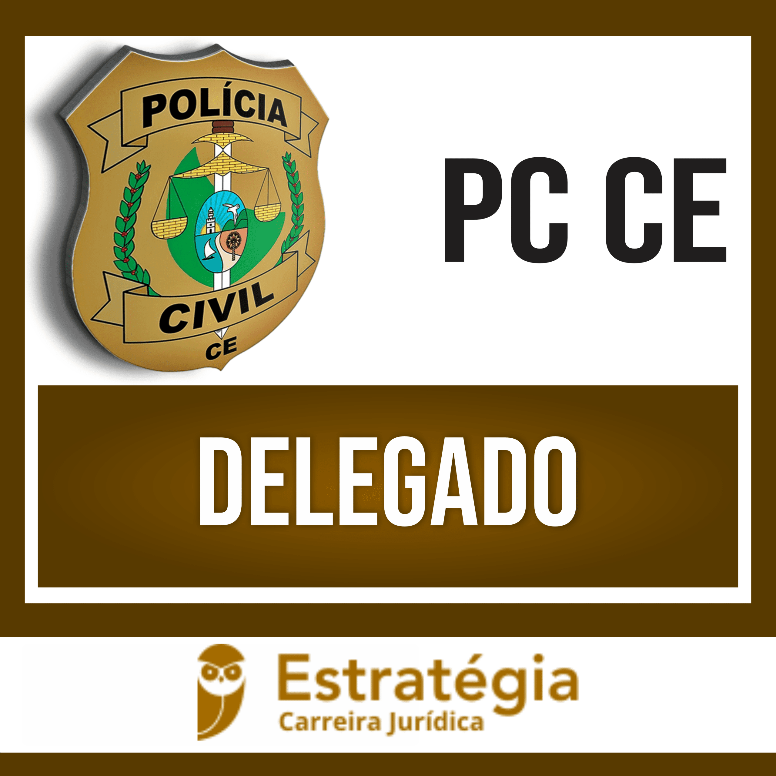 Rateio PC CE 2024 - Delegado (Pacote Teórico) - ESTRATÉGIA