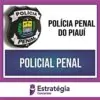 Rateio PP PI (PÓS-EDITAL) 2024 - Policial Penal - ESTRATÉGIA